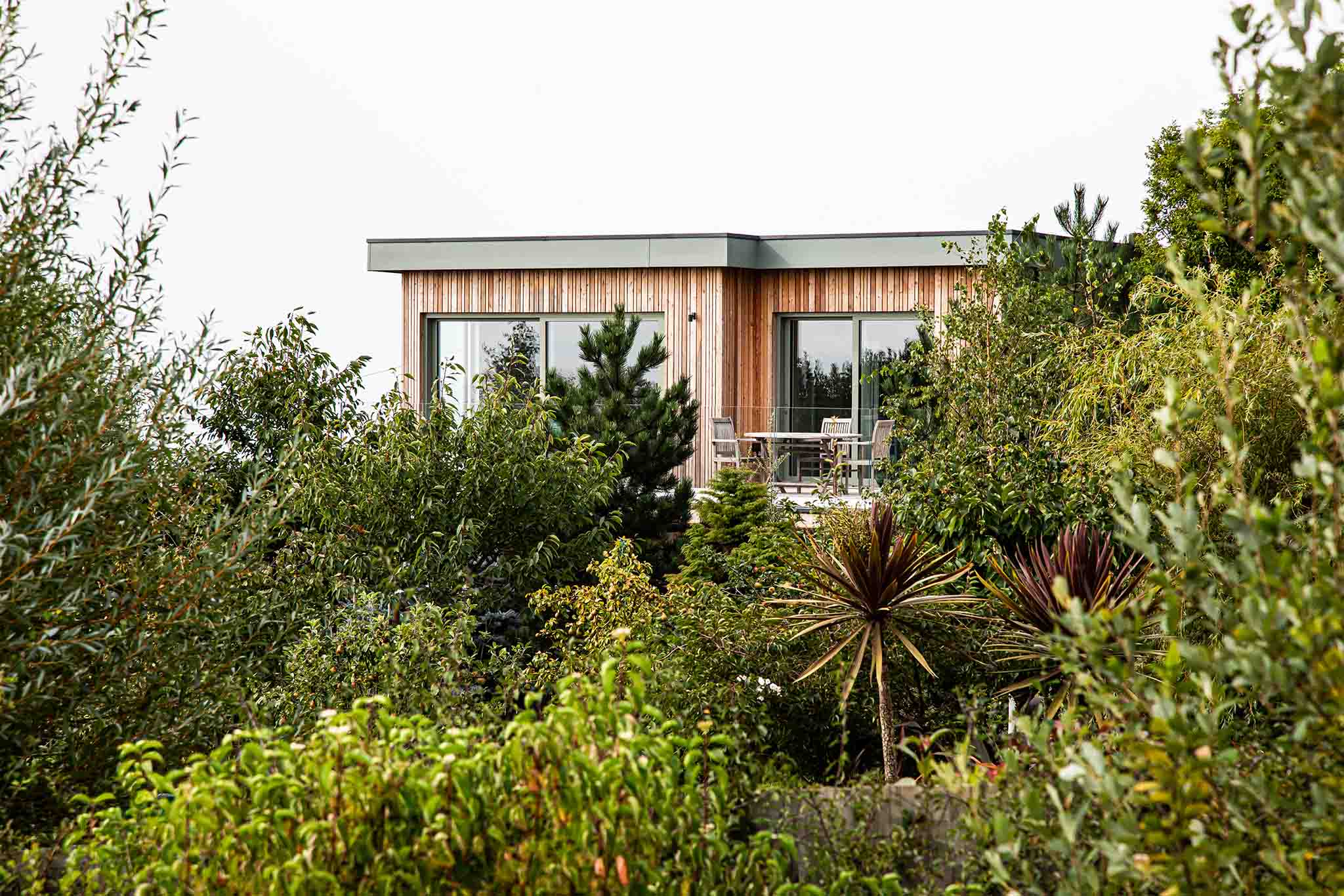 Modern triple-glazed house partially obscured by trees and plants