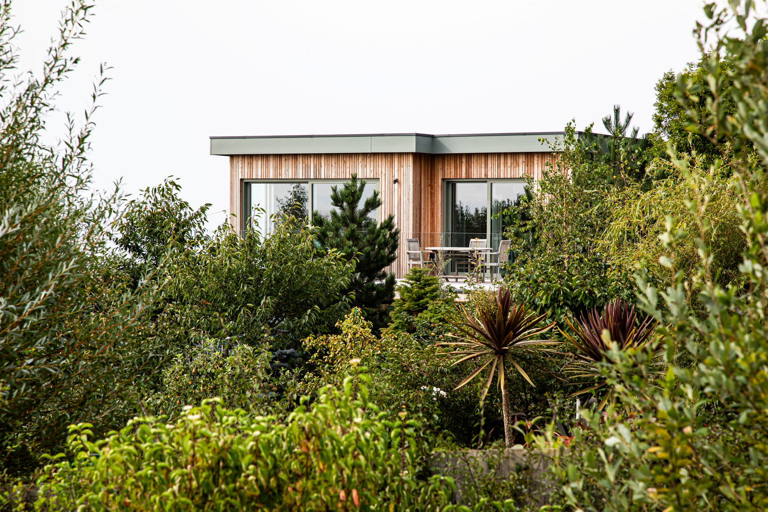 Modern triple-glazed house partially obscured by greenery