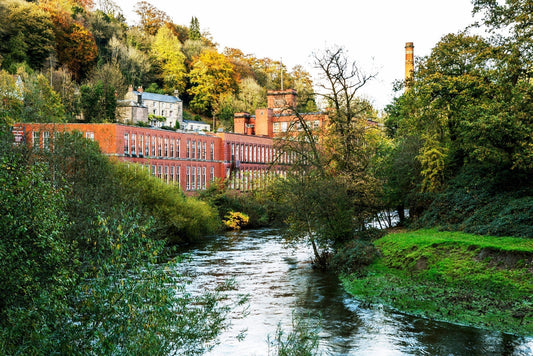 Norrsken at Home by Milestone