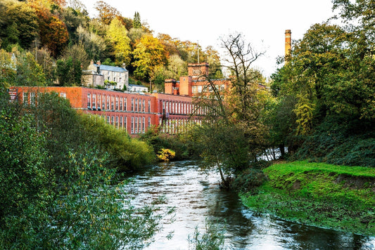 Norrsken at Home by Milestone